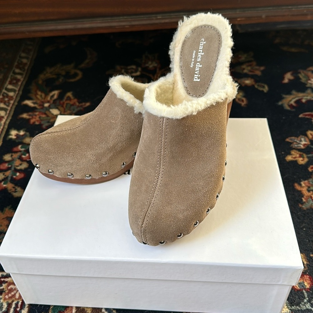 Charles David Sterling Mules size 40 “Livid”